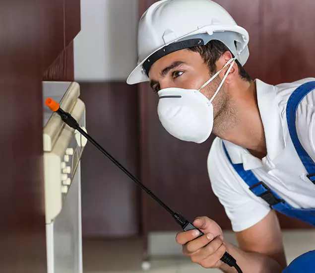 Expert Cockroach Exterminator: Your Roach Control Services in Tucker, GA