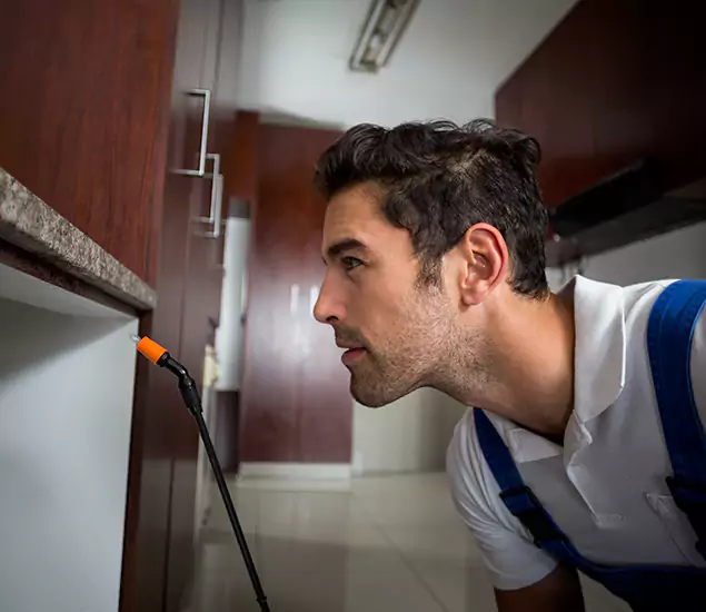 Expert Rodent in Attic Removal: Your Proven Pest Specialists in Tucker, GA