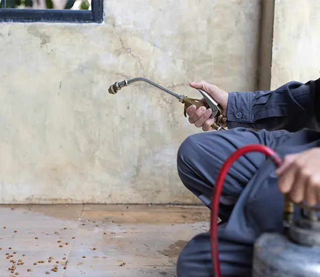 Safe Bed Bug Treatment Experts in Tucker, GA
