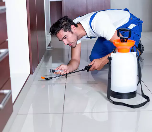 Advanced Slab Termite Treatment Experts You Can Trust&nbsp;in Tucker, GA
