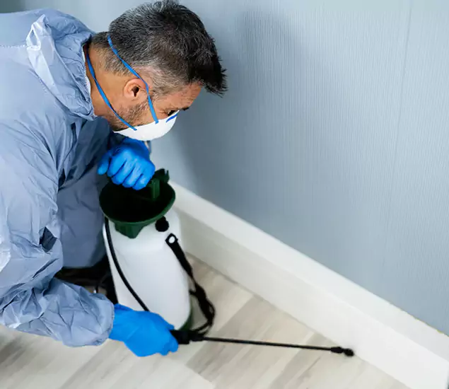 Reliable Termite Cost Experts in Tucker, GA