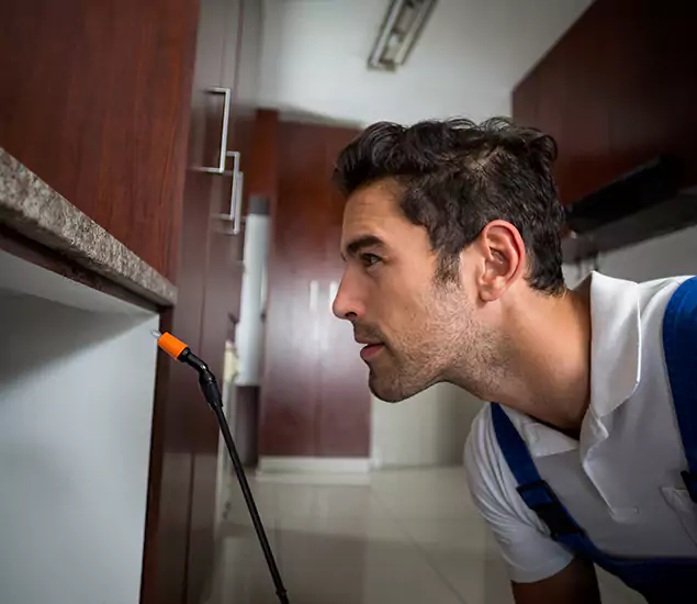 Termite Inspection Cost Experts You Can Trust in Tucker, GA