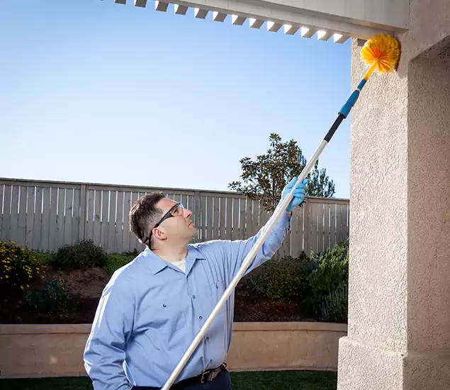 Your Trusted Wasp Removal Company in Tucker, GA
