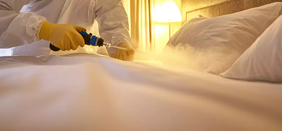 Bed Bug Steam Treatment Services in Tucker