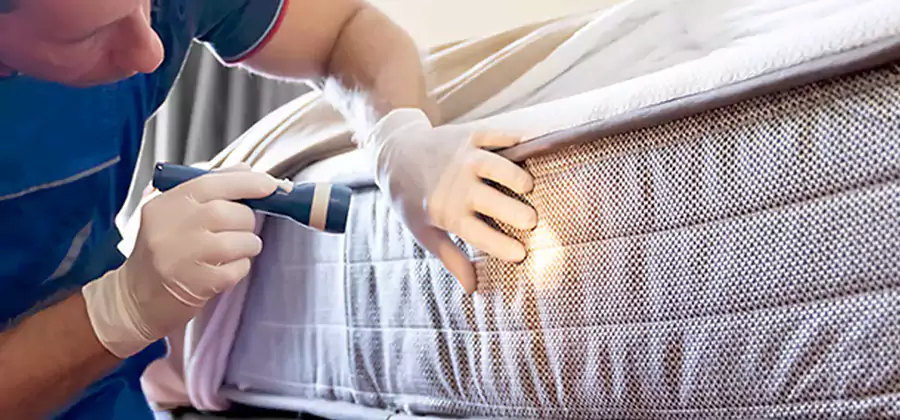 Residential Bed Bug Treatment Cost in Tucker