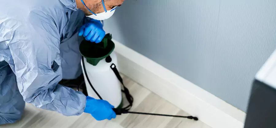 Fumigate Apartment Roaches in Tucker
