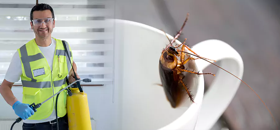 German Roach Infestation Treatment Tucker