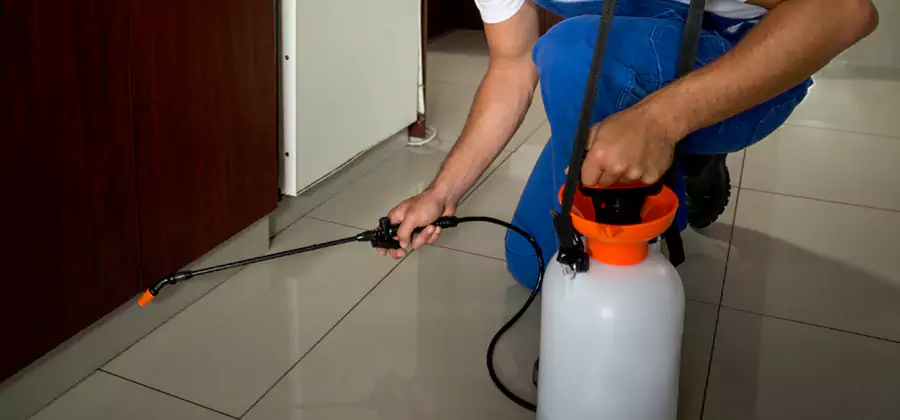 Indoor Mosquito Treatment in Tucker