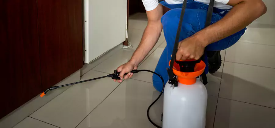 Indoor Insect Killer Solutions in Tucker