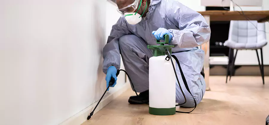 Long Lasting Mosquito Treatment in Tucker