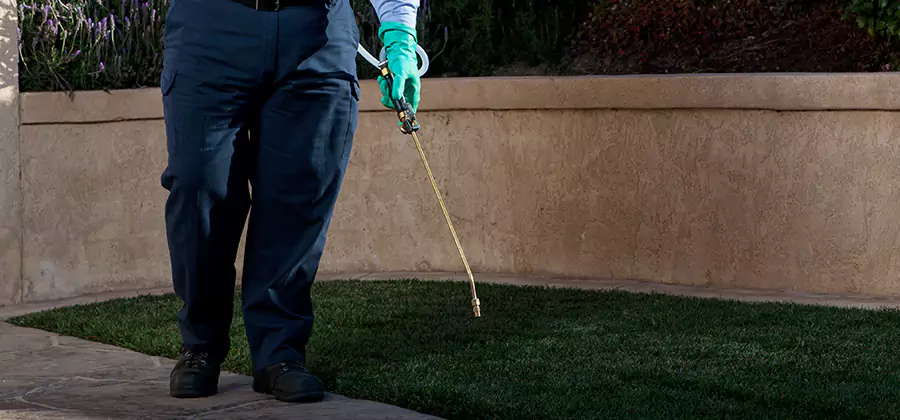 Soil Treatment for New Construction Termites in Tucker