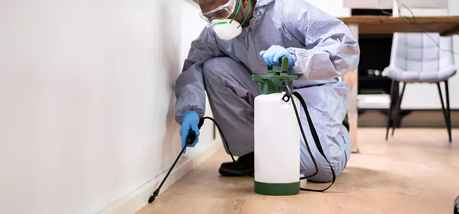 No Tent Termite Extermination With Electric Tool in Tucker