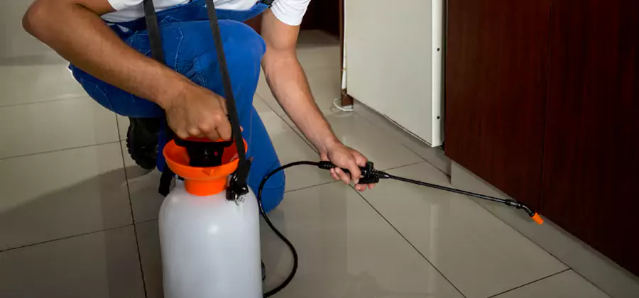 One Time Termite Control in Tucker