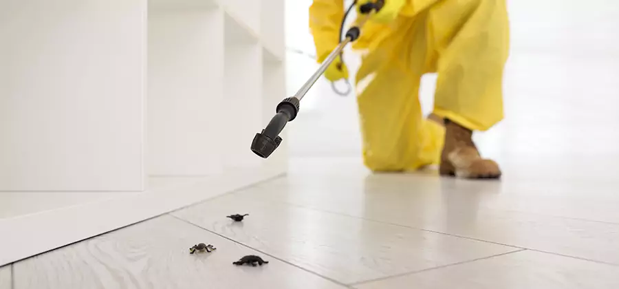 Roach and Bed Bug Exterminator in Tucker