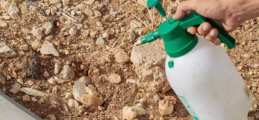 Heat Treatment Termite Cost in Tucker