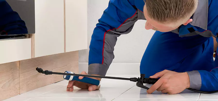 Moisture Treatment For Termite Control Service in Tucker