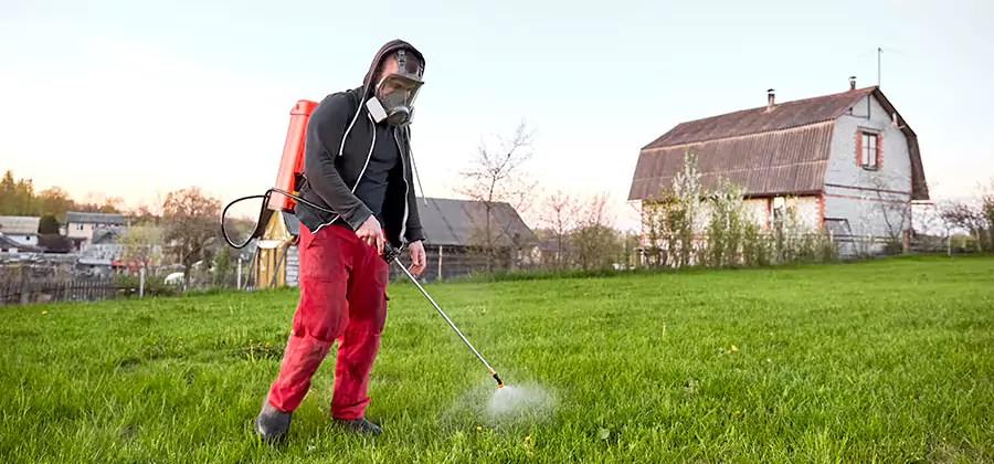Flea and Tick Pest Control in Tucker