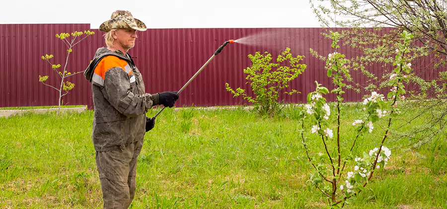 Flea and Tick Spray for Yard in Tucker