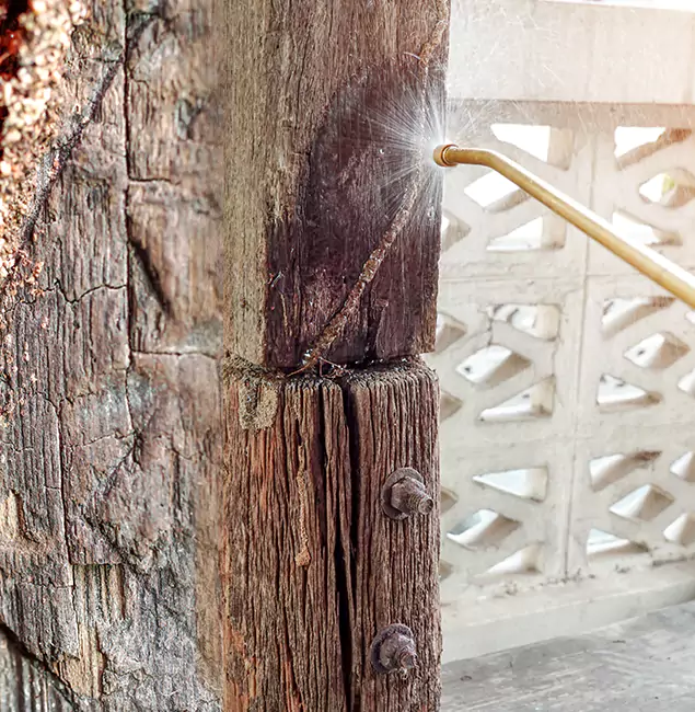 Why Choose Tucker Pest Control Pro for Attic Termite Treatment in Tucker, GA?
