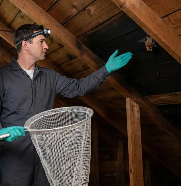 Why Tucker Pest Control Pro Is the Right Choice in Tucker, GA?