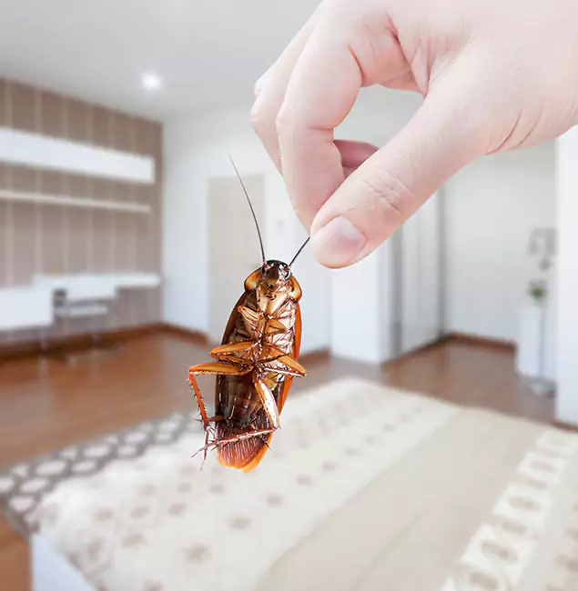Why Tucker Pest Control Pro Stand Out for Bed Bug Fumigation in Tucker, GA?