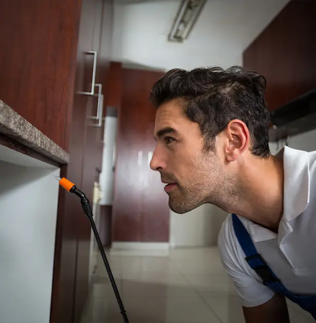 Why Choose Tucker Pest Control Pro for Bed Bug Removal Cost in Tucker, GA?