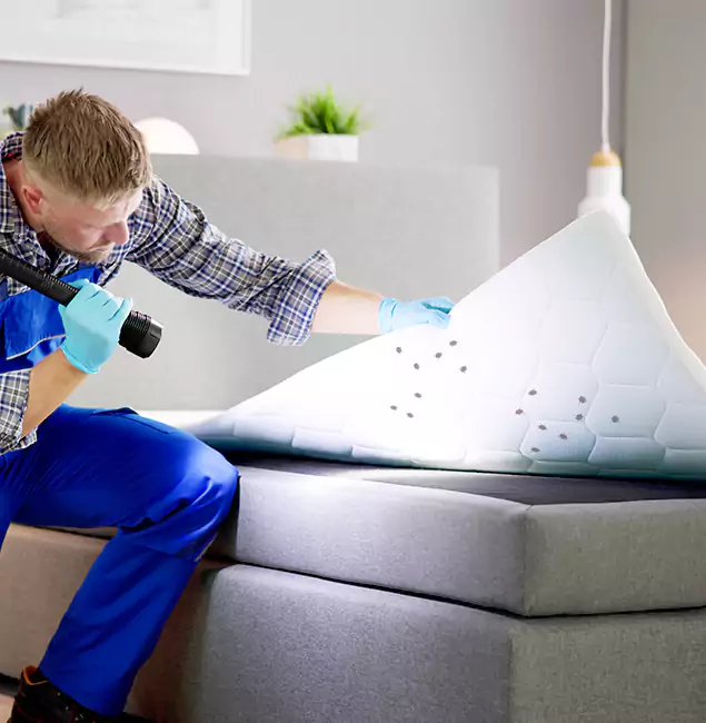 Why Choose Tucker Pest Control Pro in Tucker, GA?