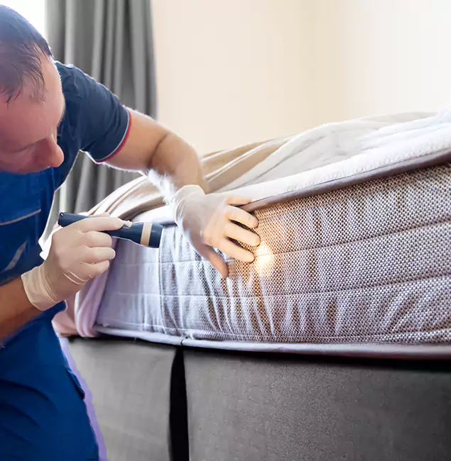 Why Choose Tucker Pest Control Pro for Bed Bug Services in Tucker, GA?