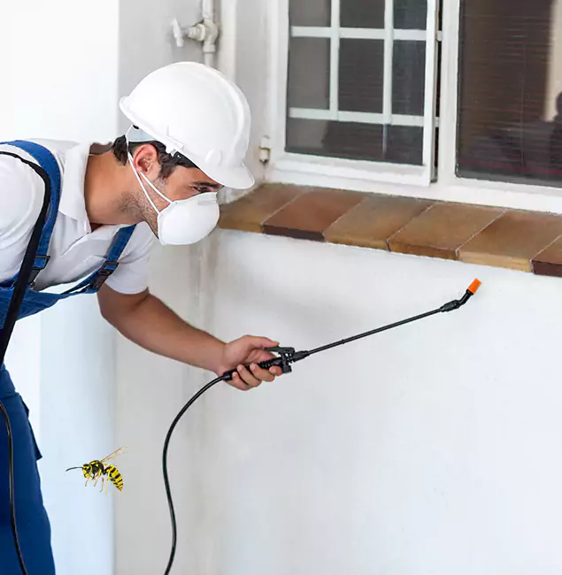 Why Tucker Property Owners Choose Tucker Pest Control Pro for Bee Nest Removal?