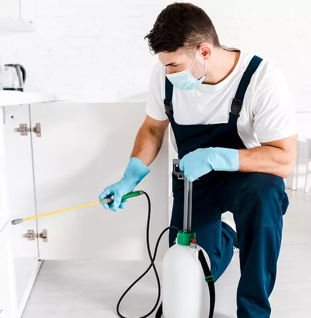 Why Choose Tucker Pest Control Pro for Emergency Pest Control in Tucker?