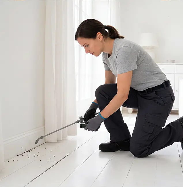 Why Tucker, GA Property Owners Trust Tucker Pest Control Pro for Fire Ant Control?