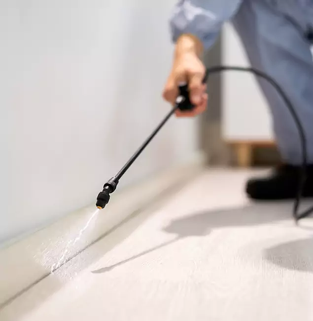 Why Choose Tucker Pest Control Pro for Termite Treatment in Tucker, GA?