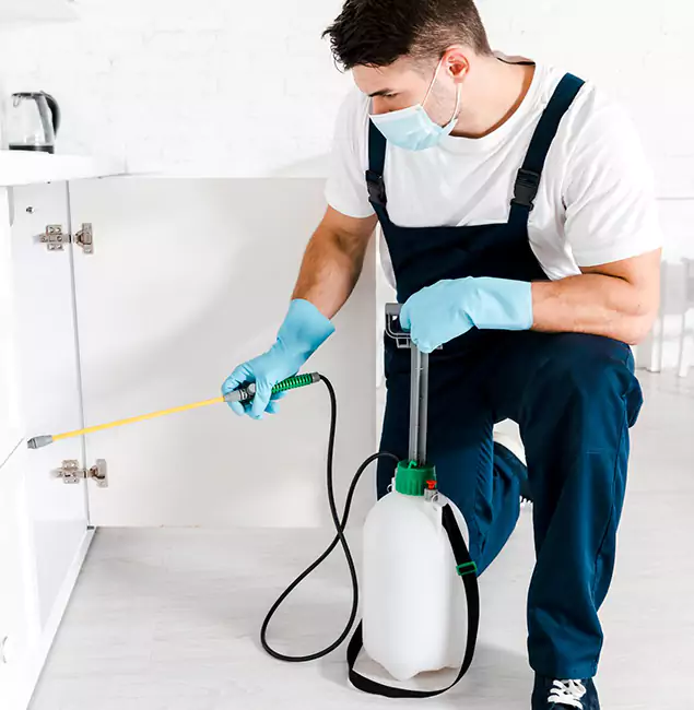 Why Tucker, GA Homeowners Trust Us for German Roach Control?