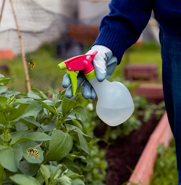 Why Tucker Homeowners Choose Tucker Pest Control Pro for Honey Bee Removal?