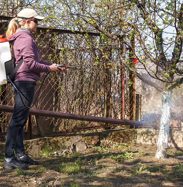 Why Tucker Homeowners Choose Tucker Pest Control Pro for Mosquito Abatement?