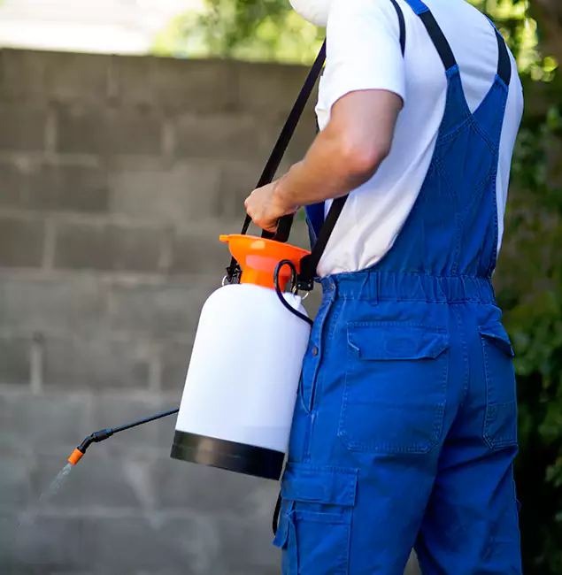 Why Tucker Homeowners Rely on Tucker Pest Control Pro for Mosquito Control?