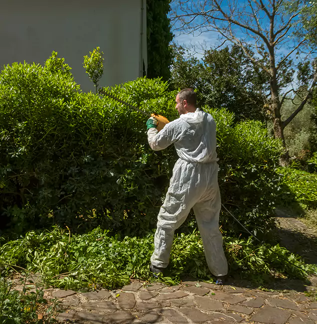 Why Tucker Pest Control Pro Leads Mosquito Control in Tucker, GA?