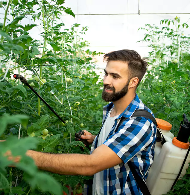 Why Tucker Homeowners Choose Tucker Pest Control Pro for Mosquito Spraying?