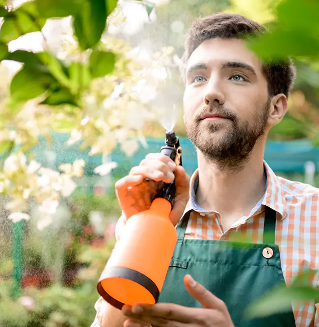Why Tucker Homeowners Call Tucker Pest Control Pro for Mosquitoes in House?