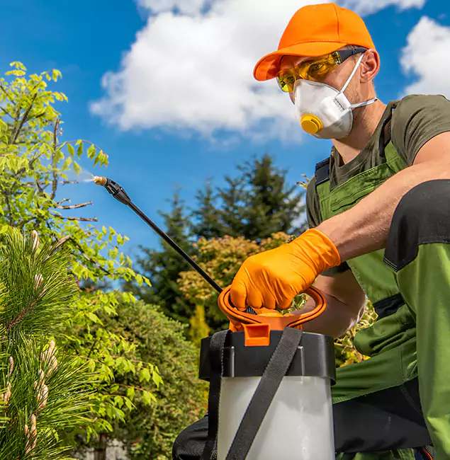 Why Choose Tucker Pest Control Pro for Outdoor Pest Control in Tucker, GA?