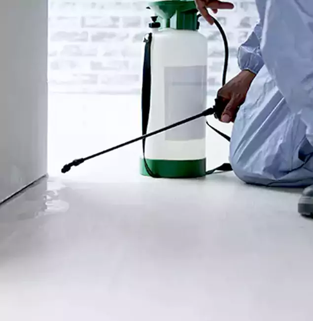Why Choose Tucker Pest Control Pro for Rat Exterminator in Tucker, GA?