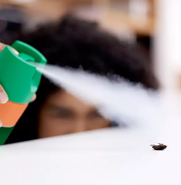 Why Tucker, GA Homeowners Choose Tucker Pest Control Pro for Roach Pest Control?