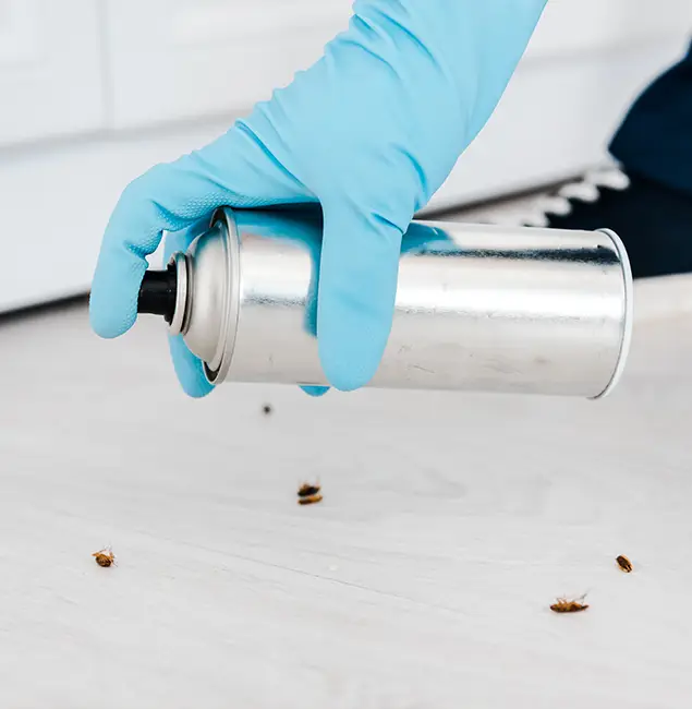 Why Choose Tucker Pest Control Pro for Safe Bed Bug Treatment in Tucker, GA?