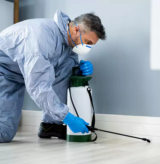 Why Choose Tucker Pest Control Pro for Subterranean Termites Treatment in Tucker, GA?