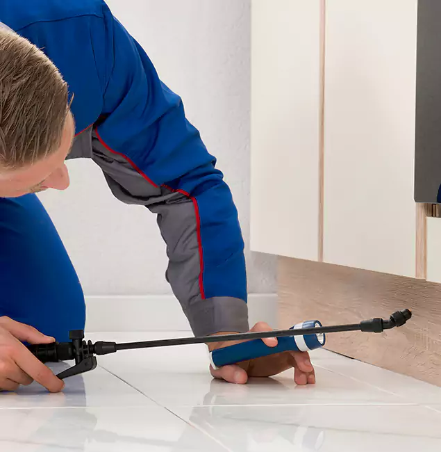 Why Tucker Residents Choose Tucker Pest Control Pro to Get Rid of Sugar Ants?