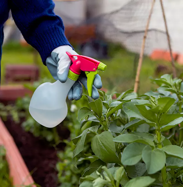 Why Tucker Relies on Tucker Pest Control Pro for Wasp Control Services?