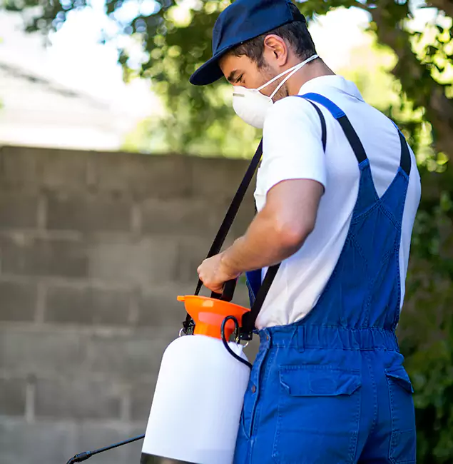 Why Tucker Pest Control Pro Is the Right Choice for Yellow Jacket Removal in Tucker, GA?
