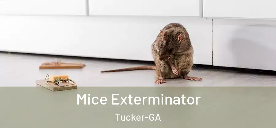 Mice Exterminator Tucker-GA