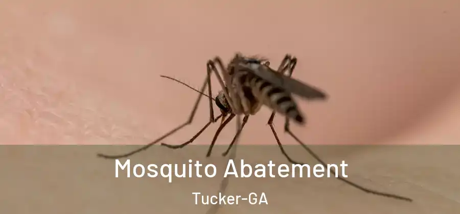 Mosquito Abatement Tucker-GA