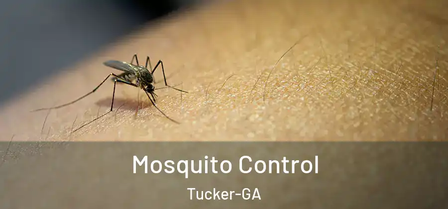 Mosquito Control Tucker-GA